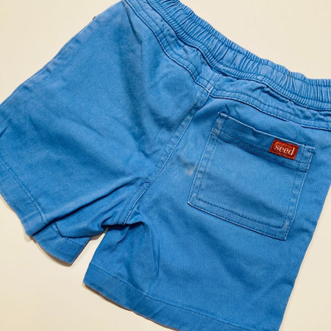 Blue Shorts with Drawstring Waist and Pockets