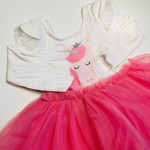 Long Sleeve Top and Pink Tutu